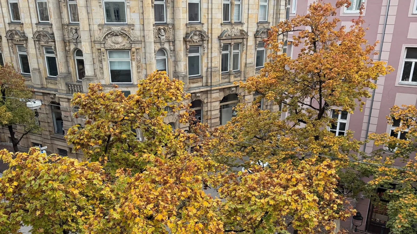 Herbstlich gefärbte Ahornbäume vor der beigen Sandsteinfassade gegenüber der Kanzlei in Augsburg