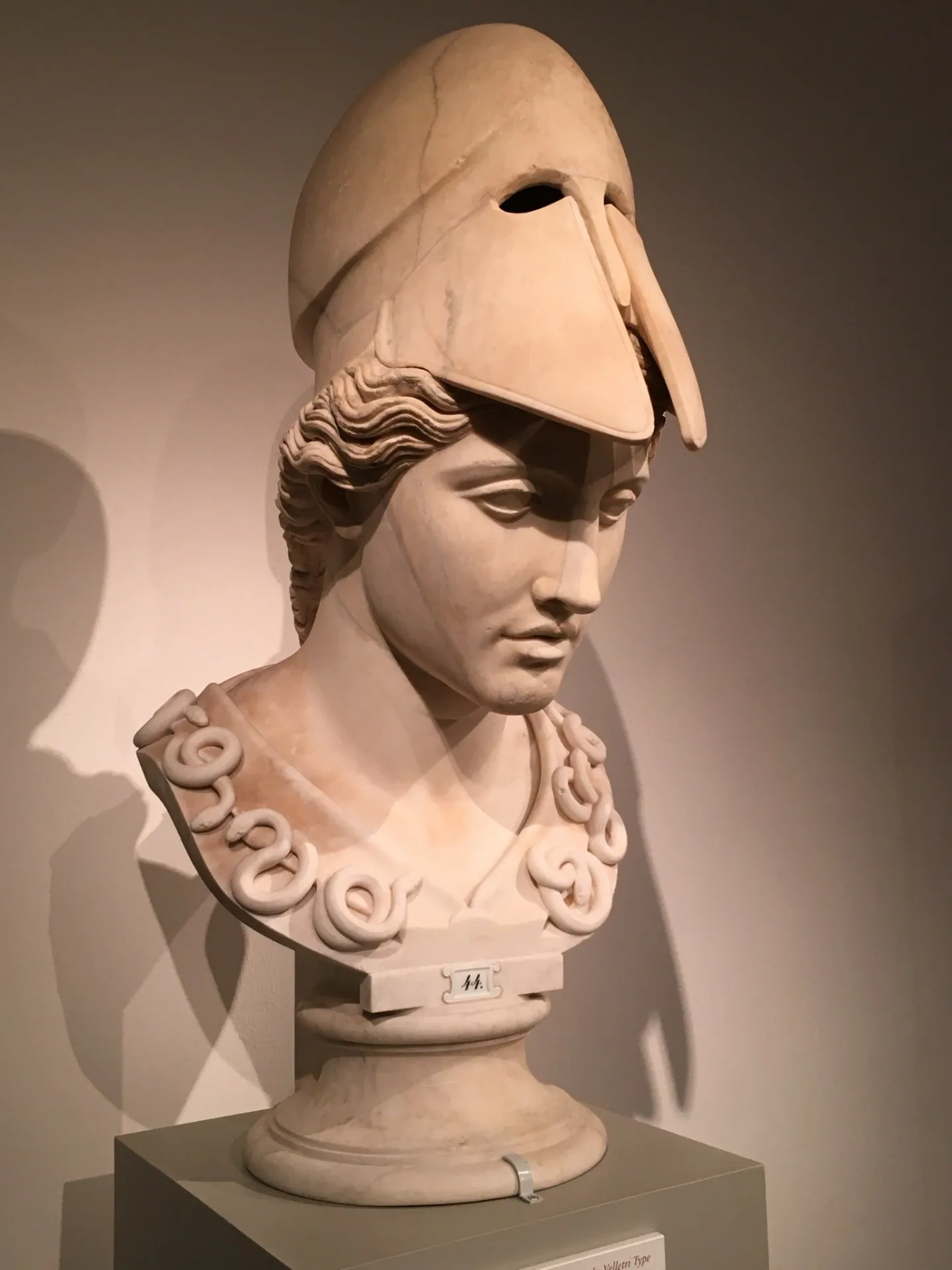 Büste der Göttin Pallas Athene, Logo-Motiv der Kanzlei Kreutz in Augsburg